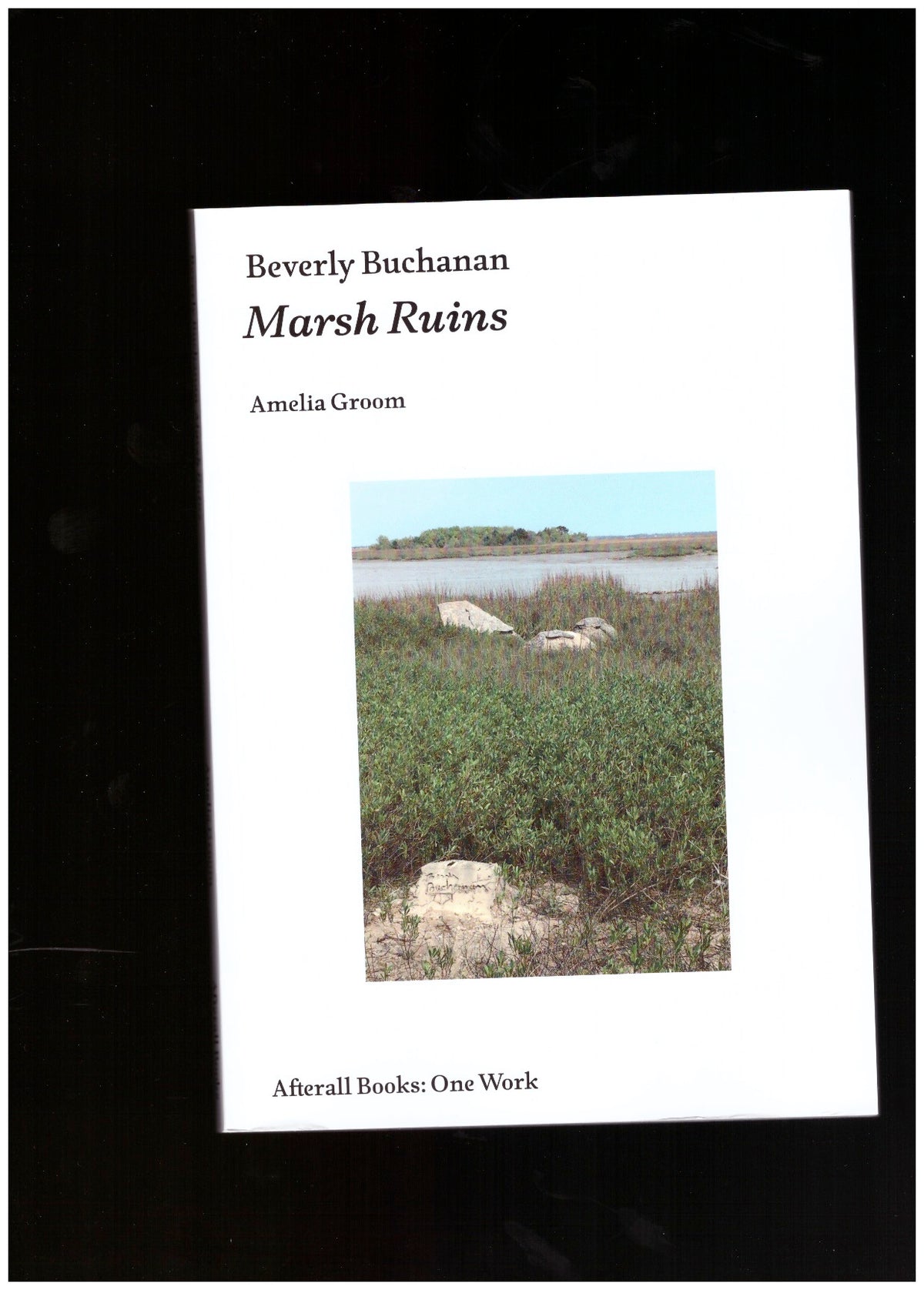 Beverly Buchanan: Marsh Ruins