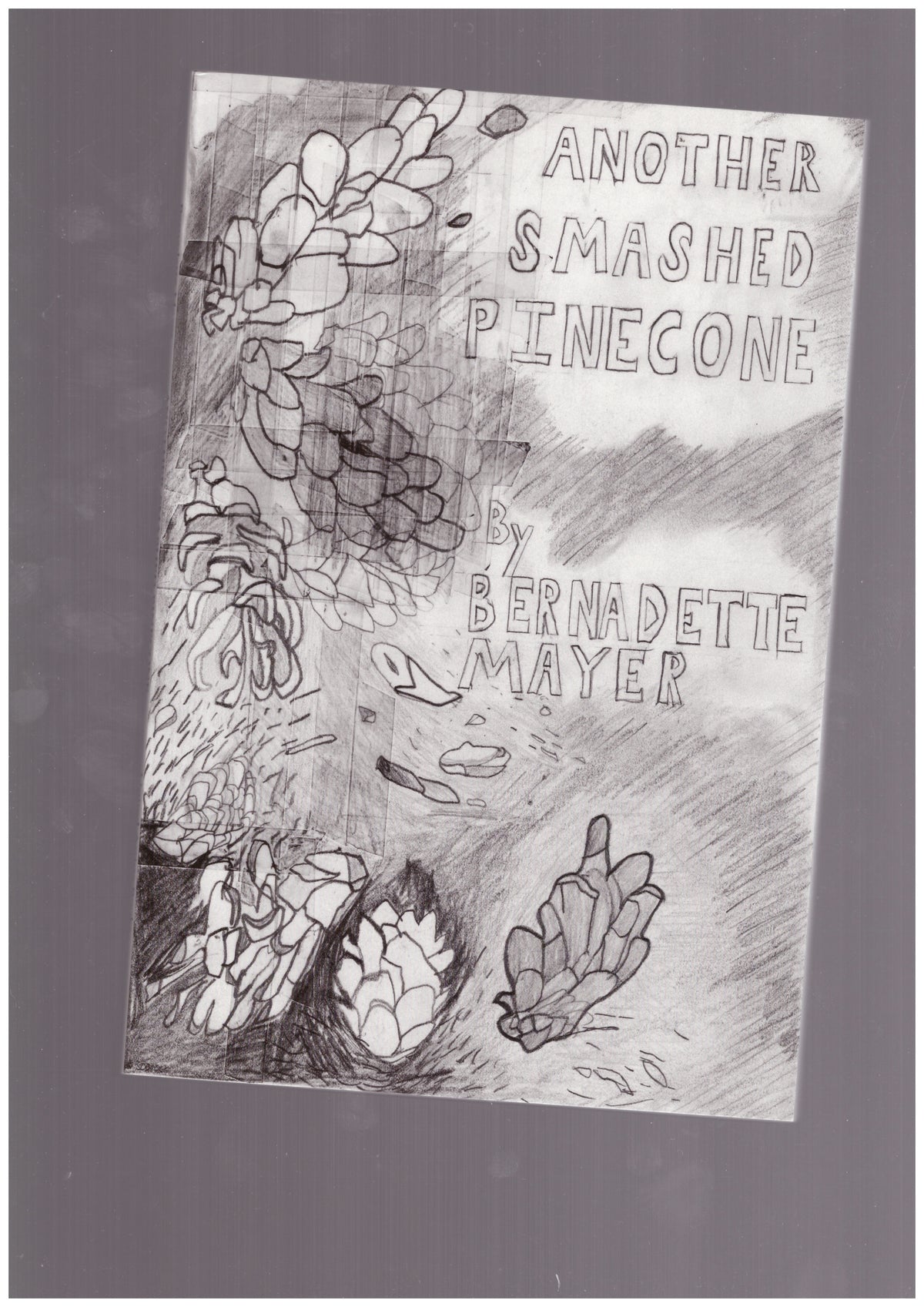Another Smashed Pinecone
