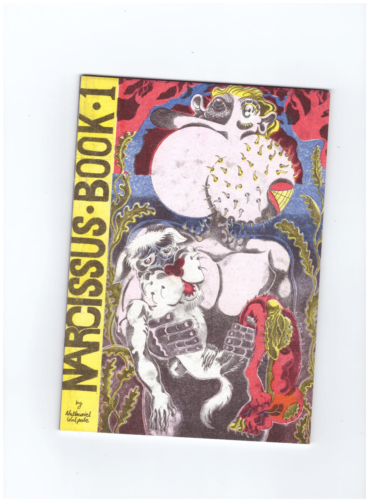 Narcissus Book #1