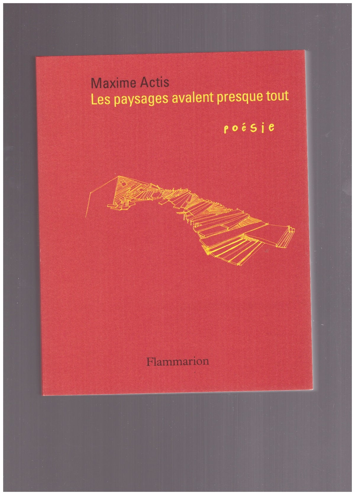 Les paysages avalent presque tout