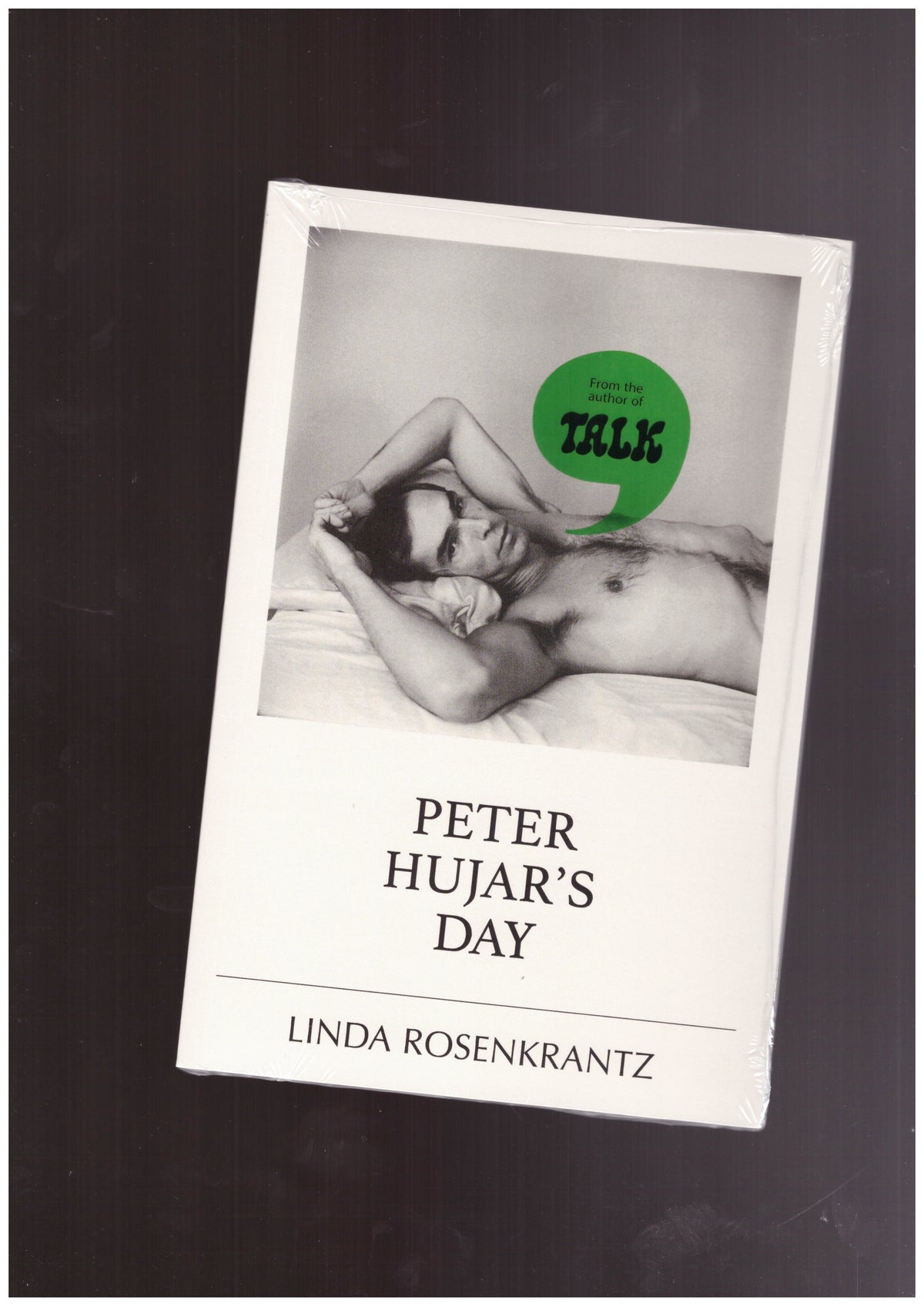 Peter Hujar’s Day