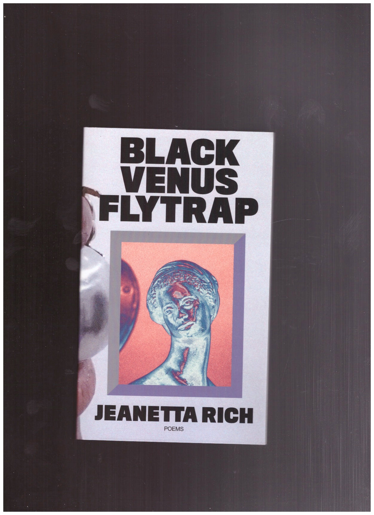 Black Venus Fly Trap