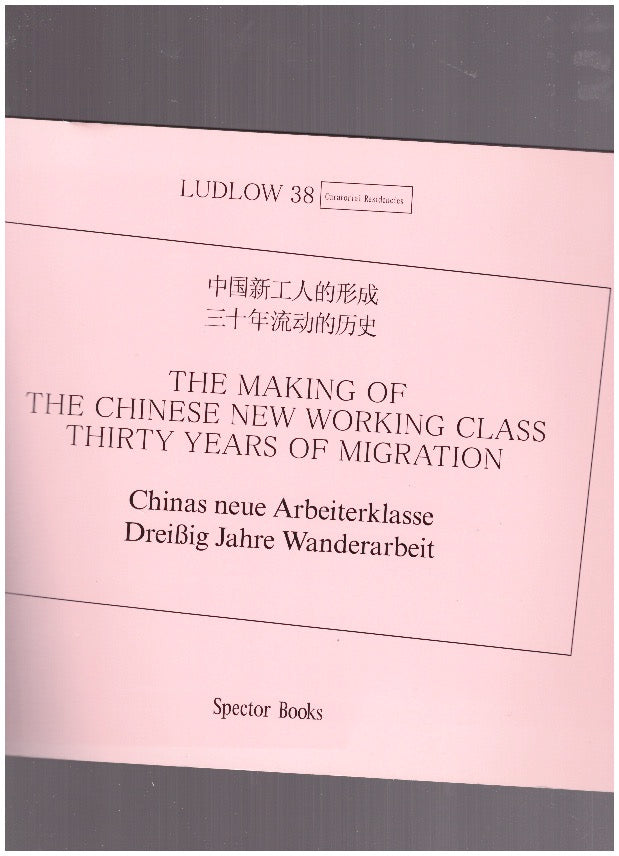 The making of the Chinese new working class, thirty years of migration