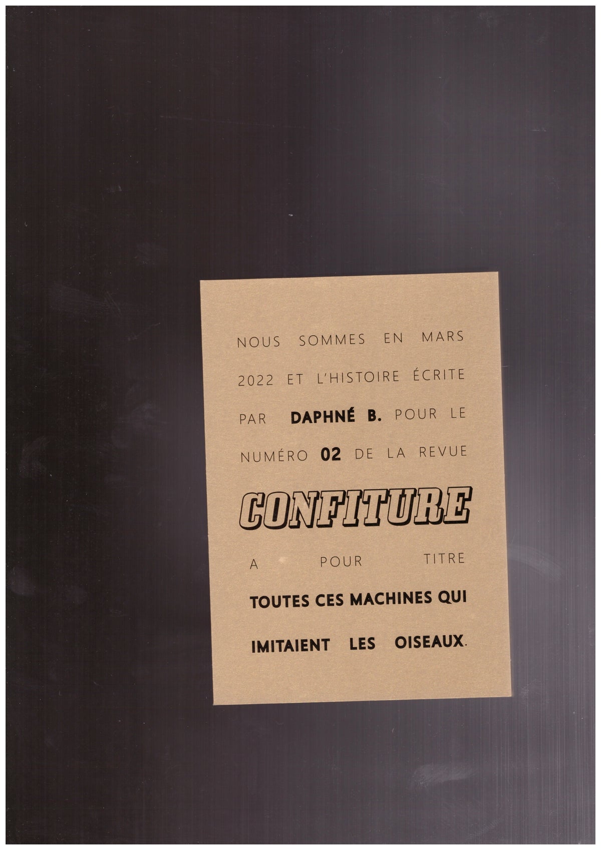 Confiture #2 : Toutes ces machines qui imitaient les oiseaux