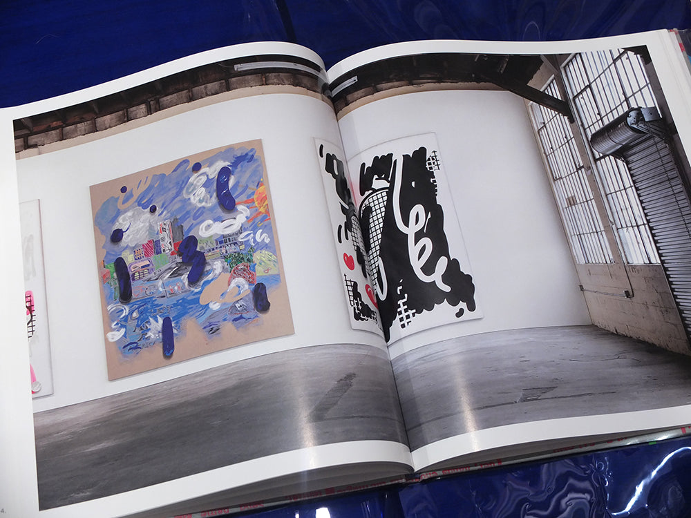Twelve Paintings