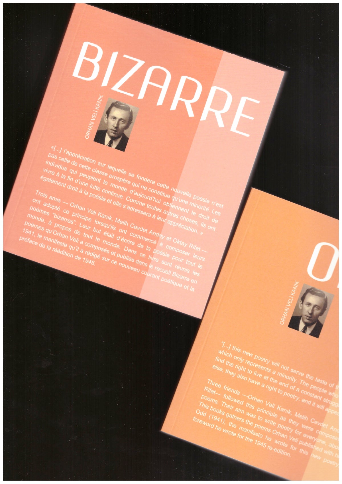BIZARRE/ GARİP = ODD/ GARİP