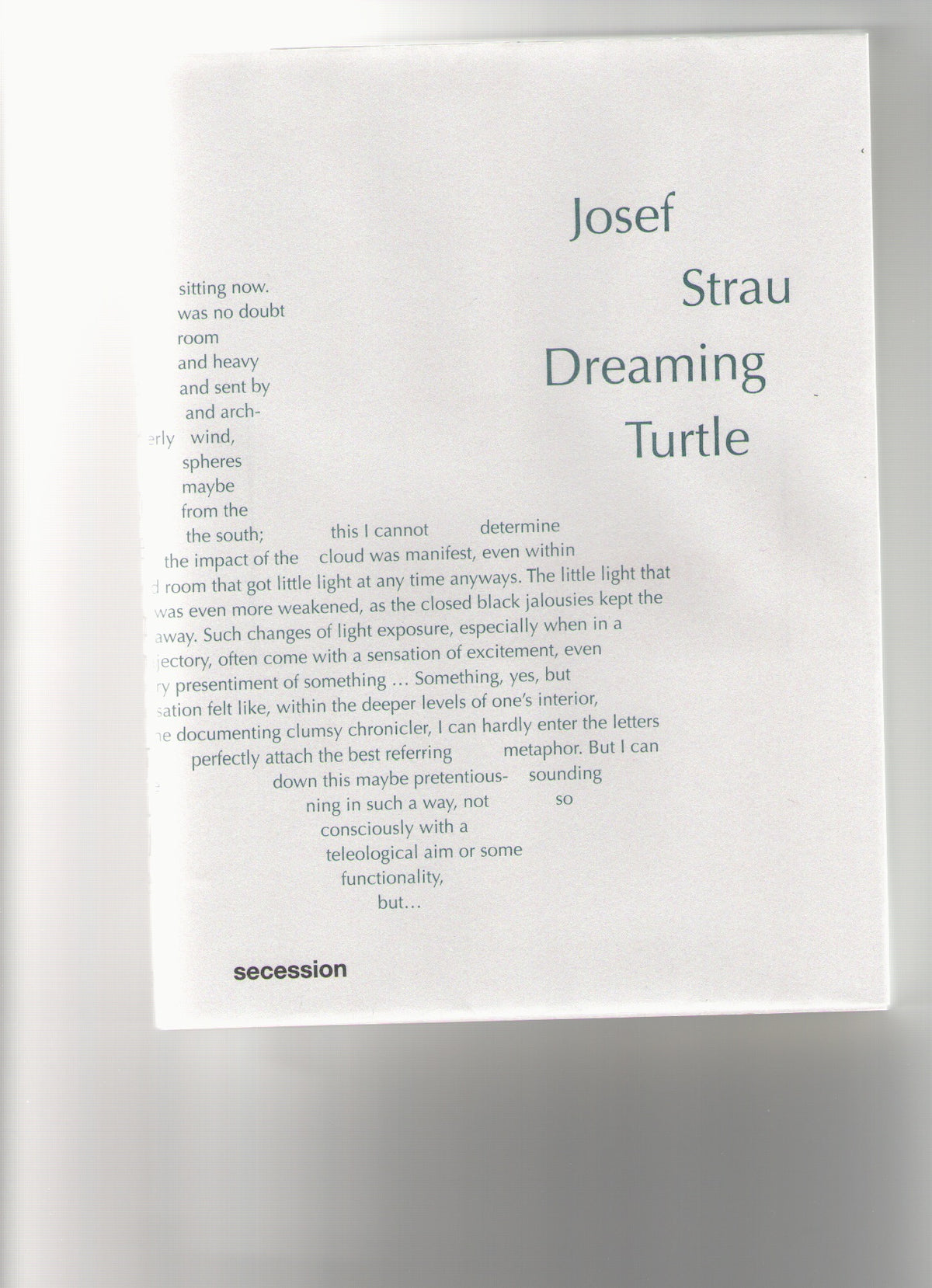 Dreaming Turtle