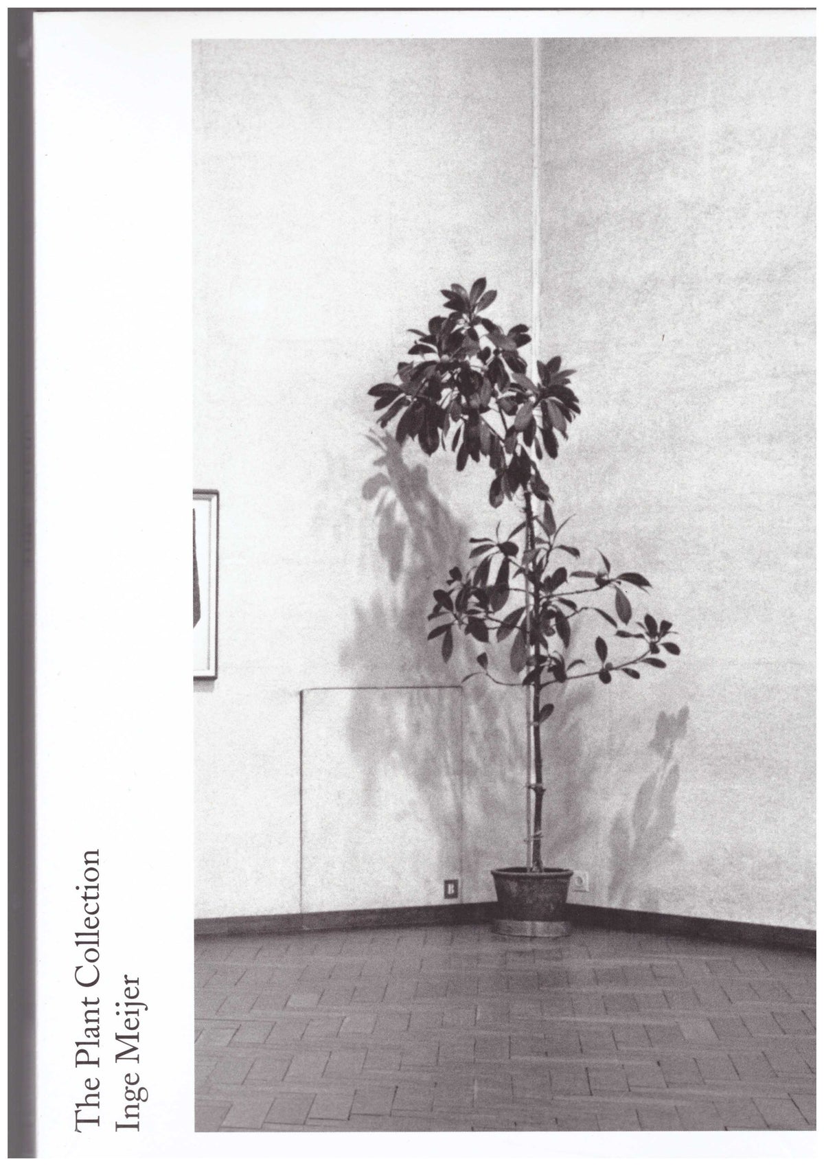 The Plant Collection