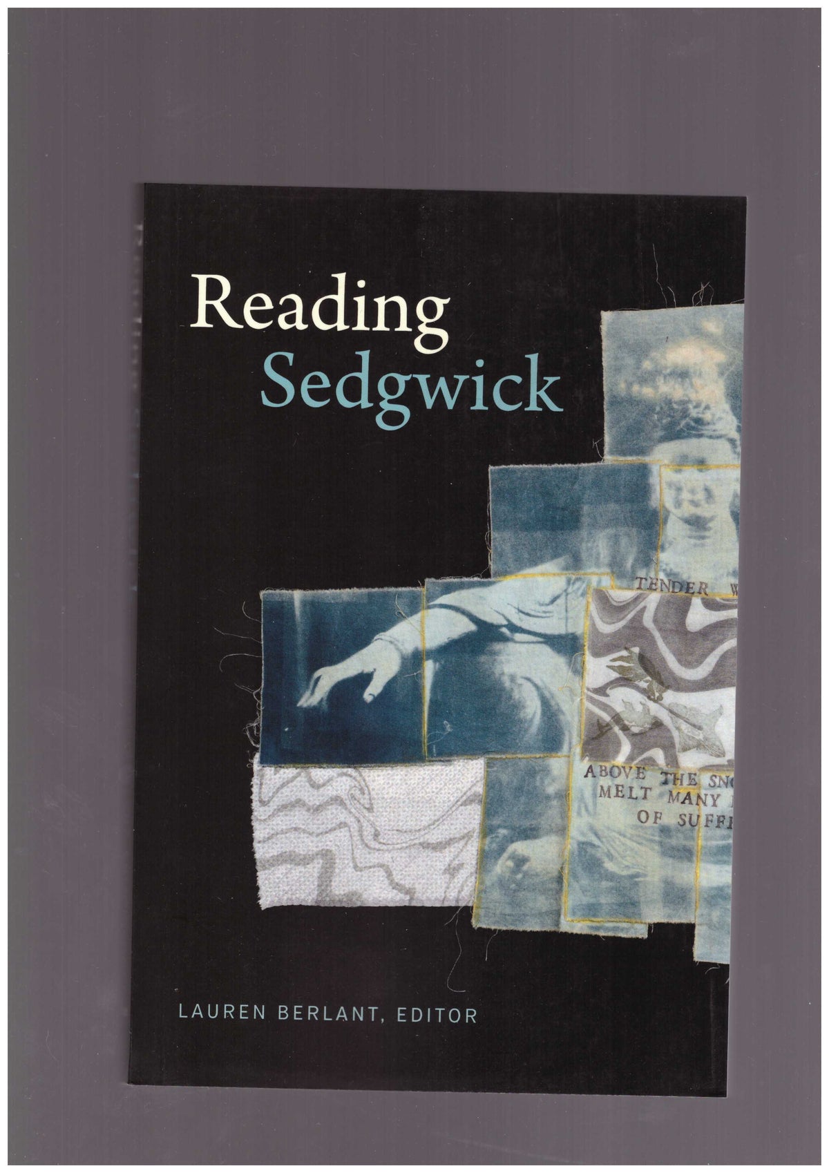 Reading Sedgwick