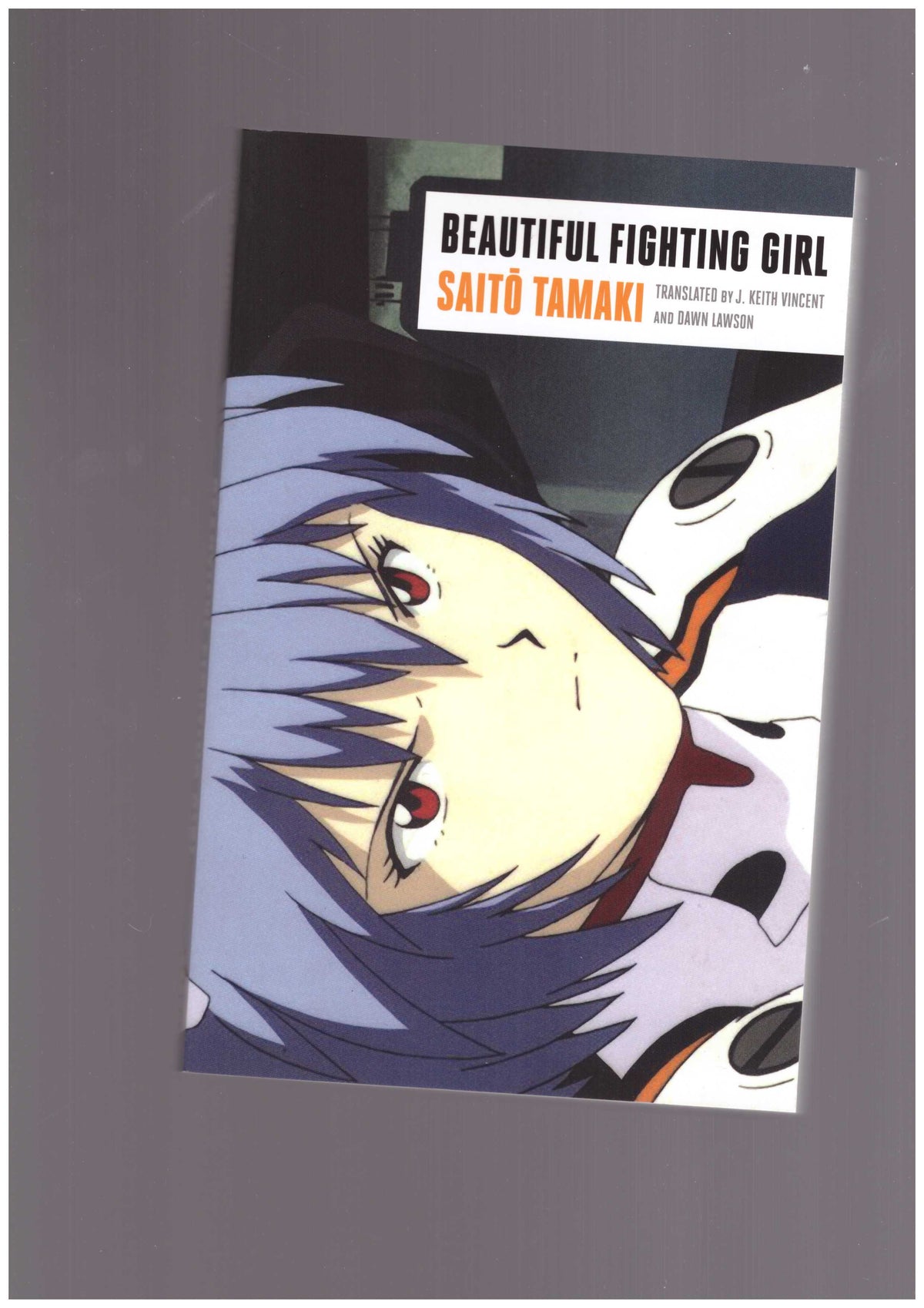 Beautiful Fighting Girl
