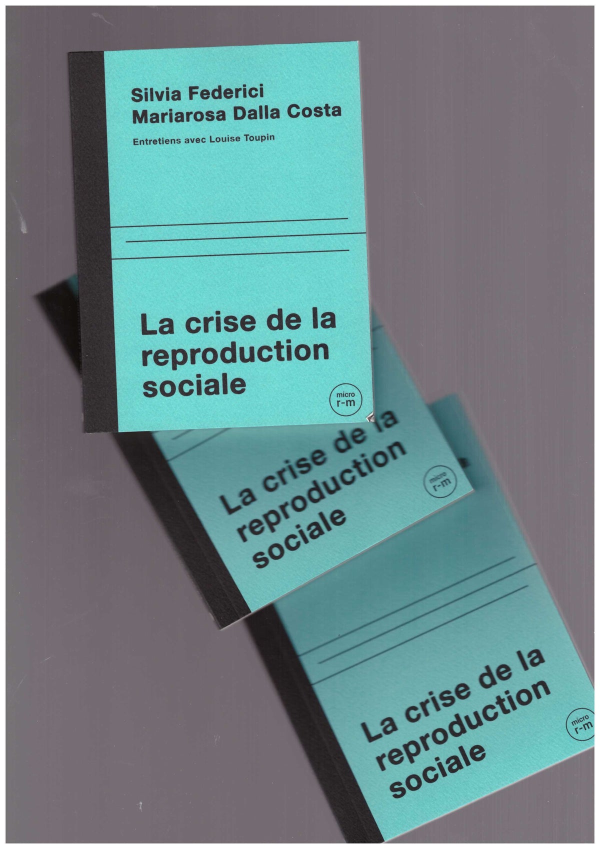 La crise de la reproduction sociale