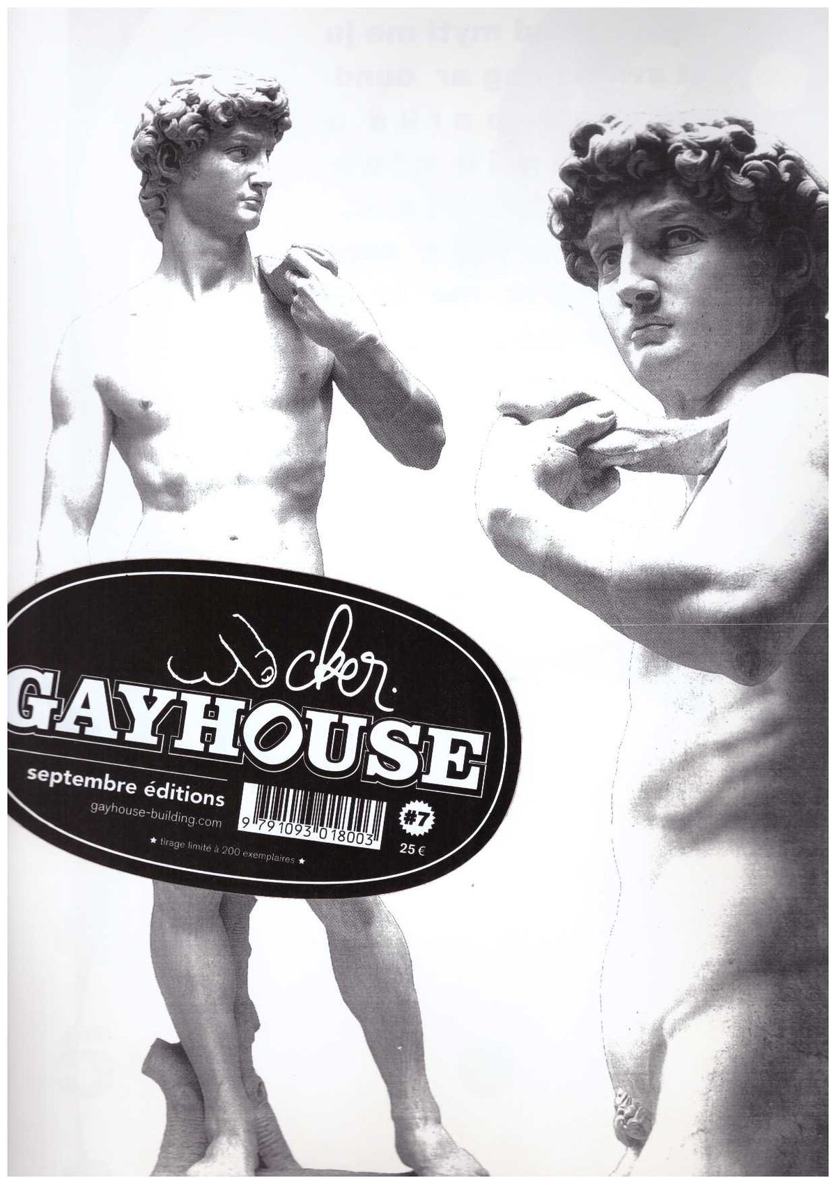 Gayhouse #7
