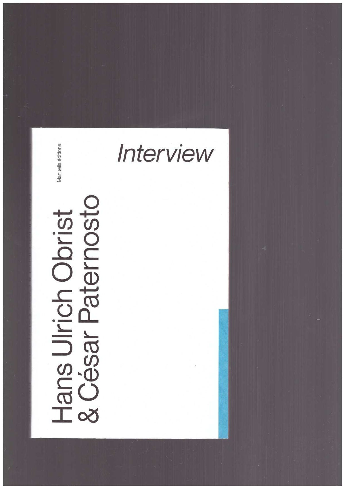 César Paternosto, Interview