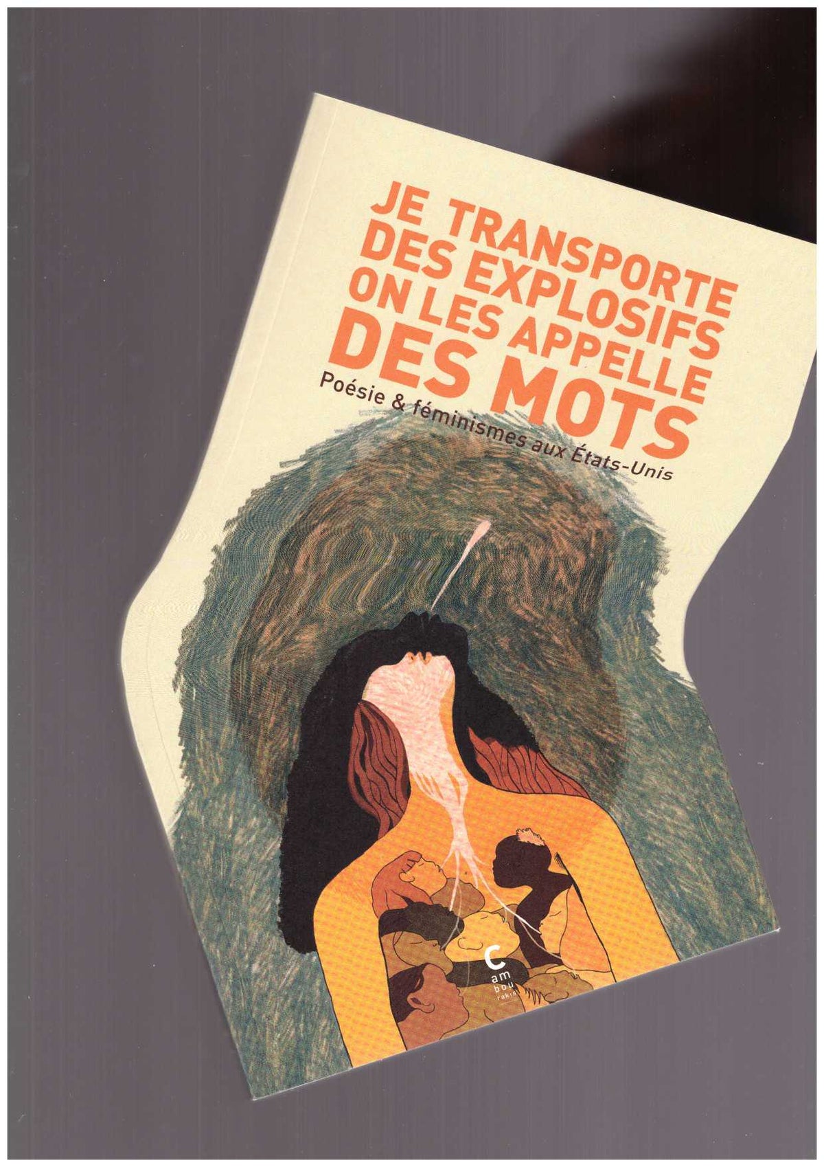 Je transporte des explosifs on les appelle des mots. Poésie & féminismes aux Etats-Unis