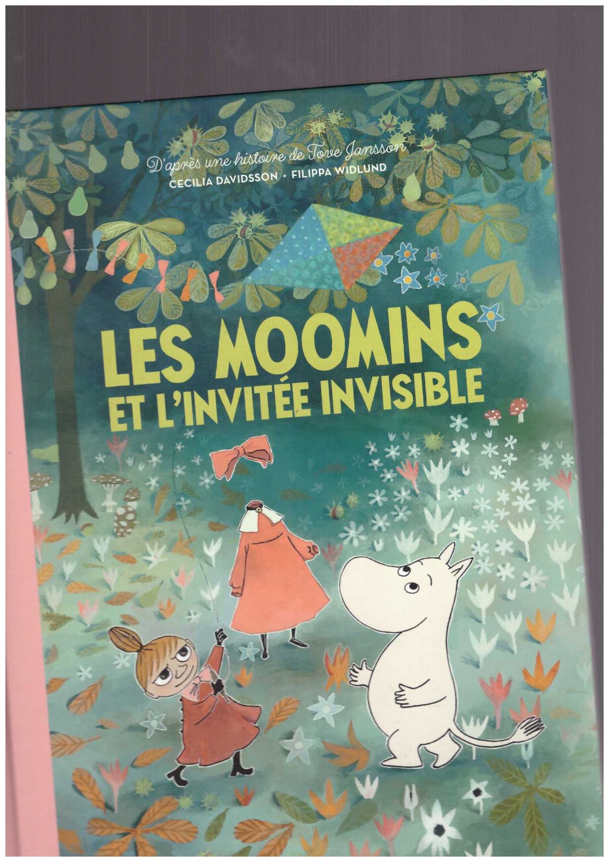 Les Moomins et l’invitée invisible