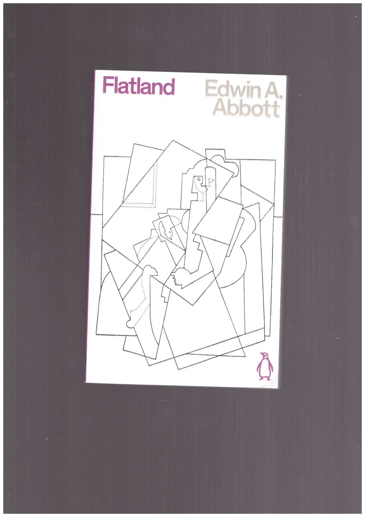 Flatland. A Romance in Many Dimensions