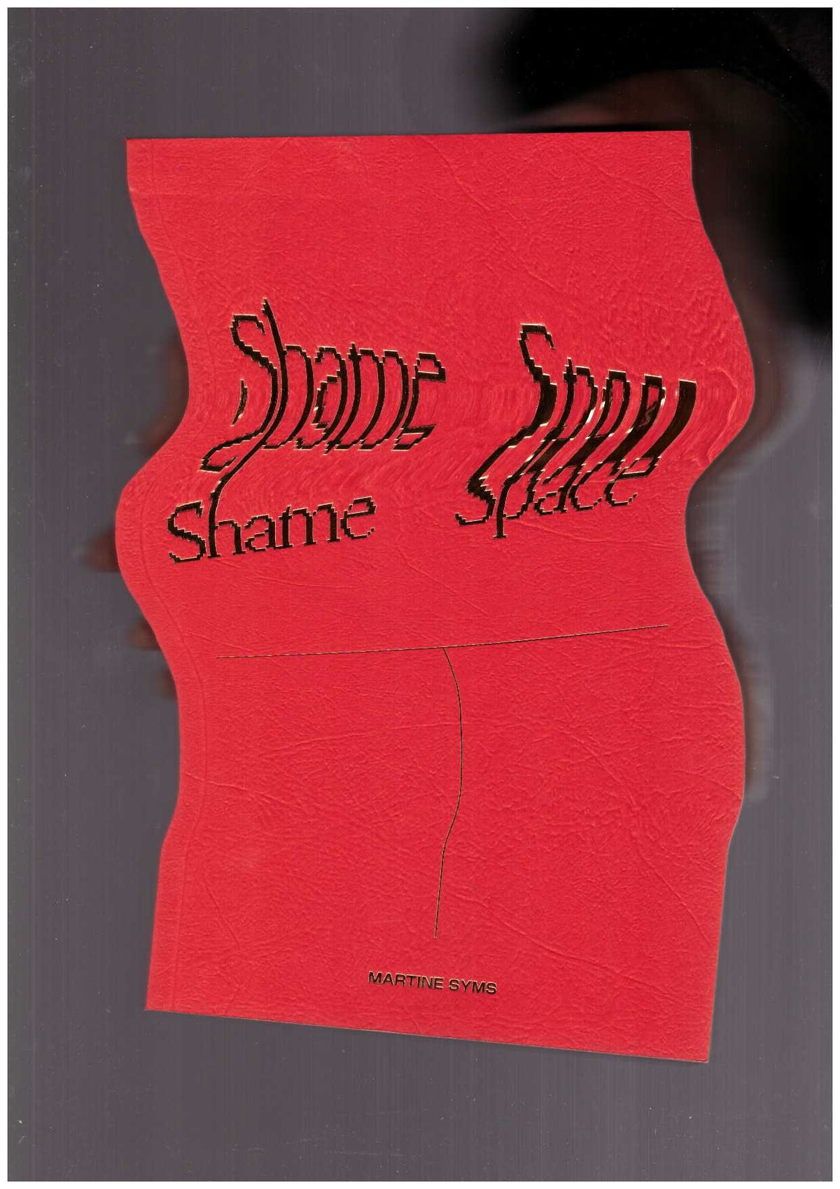 Shame Space