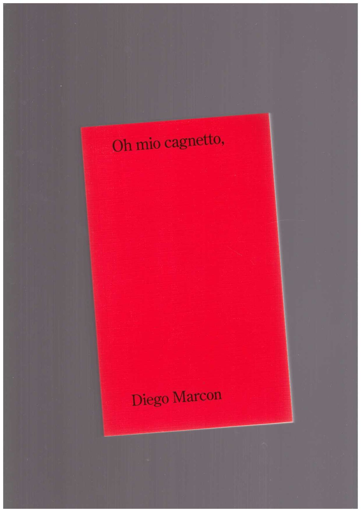 Oh mio cagnetto,