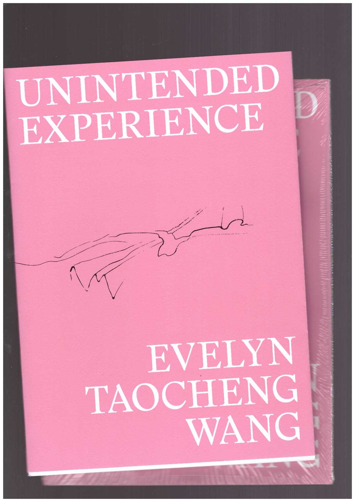 Unintended Experience. A Job in Amsterdam (reprint)