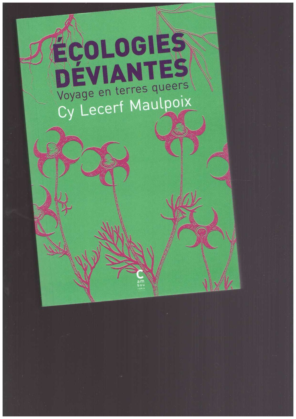 Écologies déviantes. Voyage en terres queers