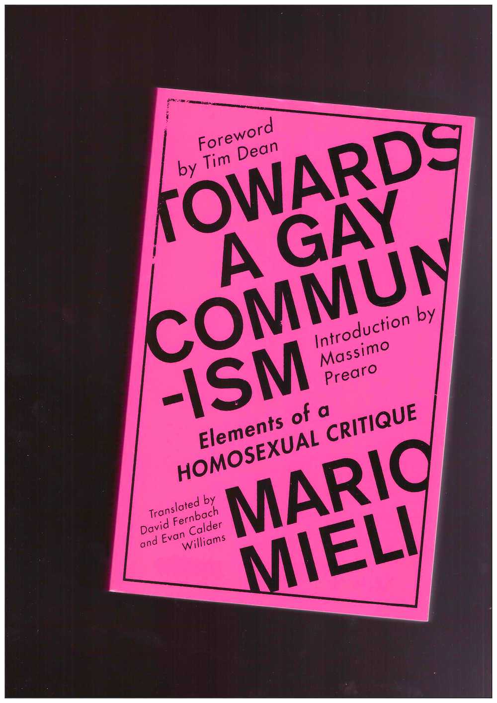 Towards a Gay Communism. Elements of a Homosexual Critique