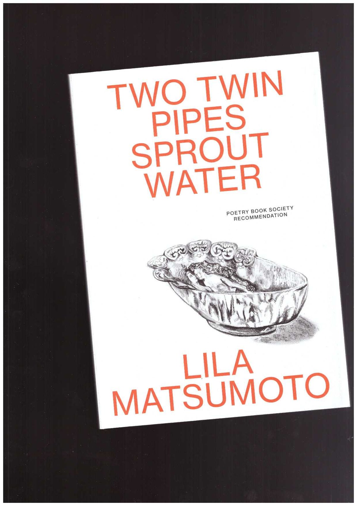 Two Twin Pipes Sprout Water