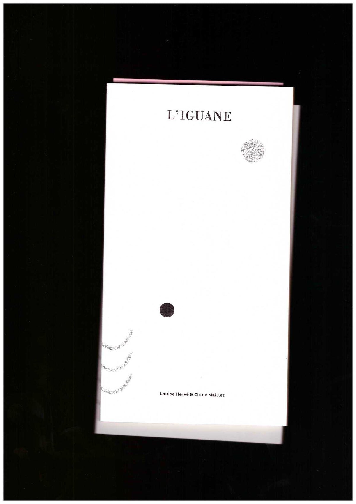 L’iguane