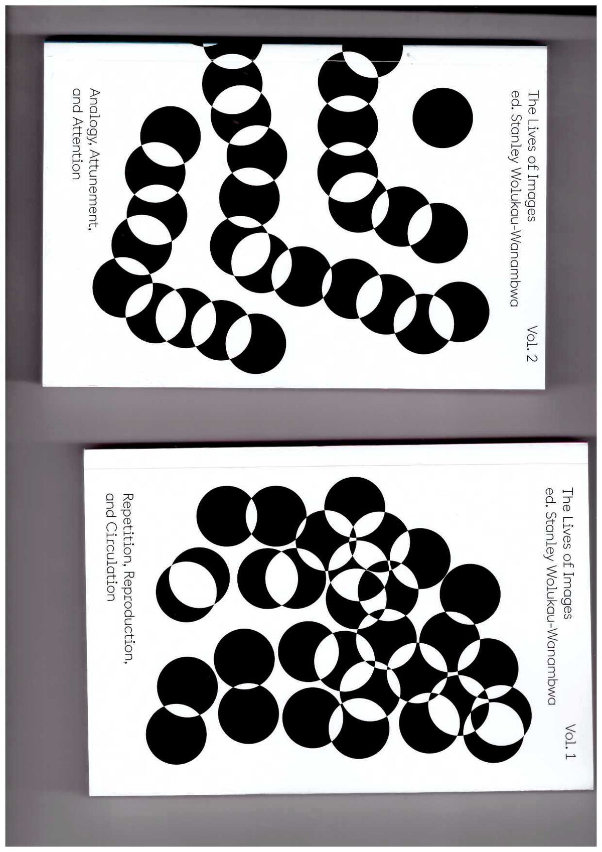The Lives of Images, Vol. 2: Analogy, Attunement, and Attention
