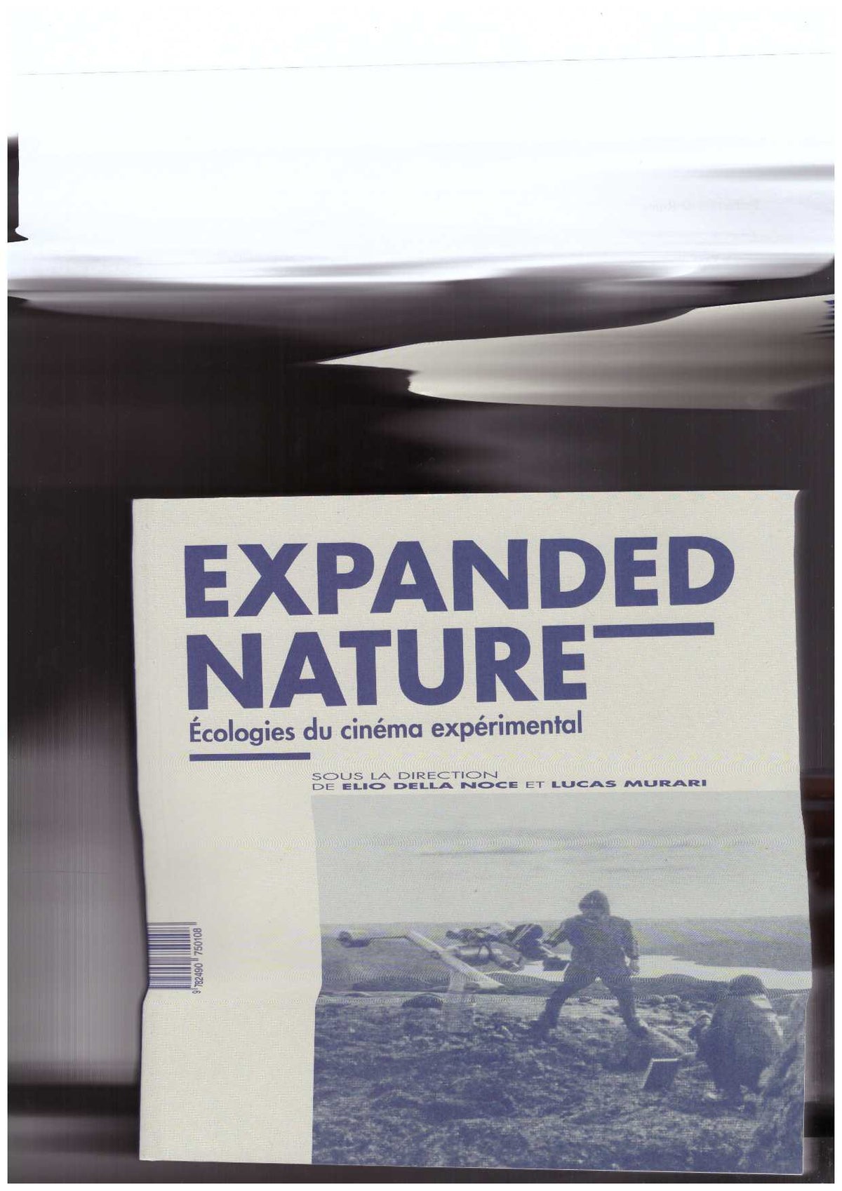 Expanded Nature. Écologies du cinéma expérimental
