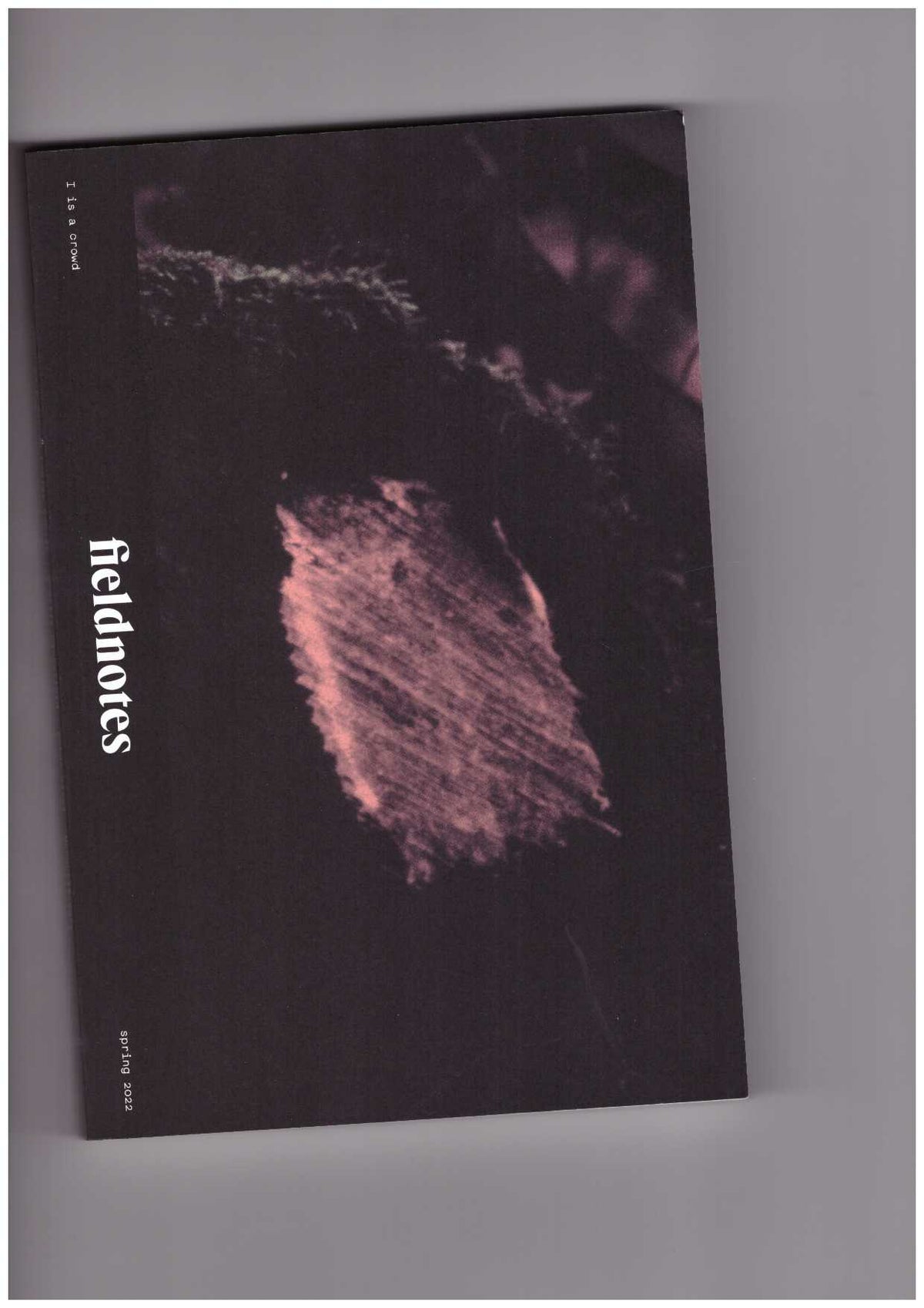 fieldnotes #3 I is a crowd