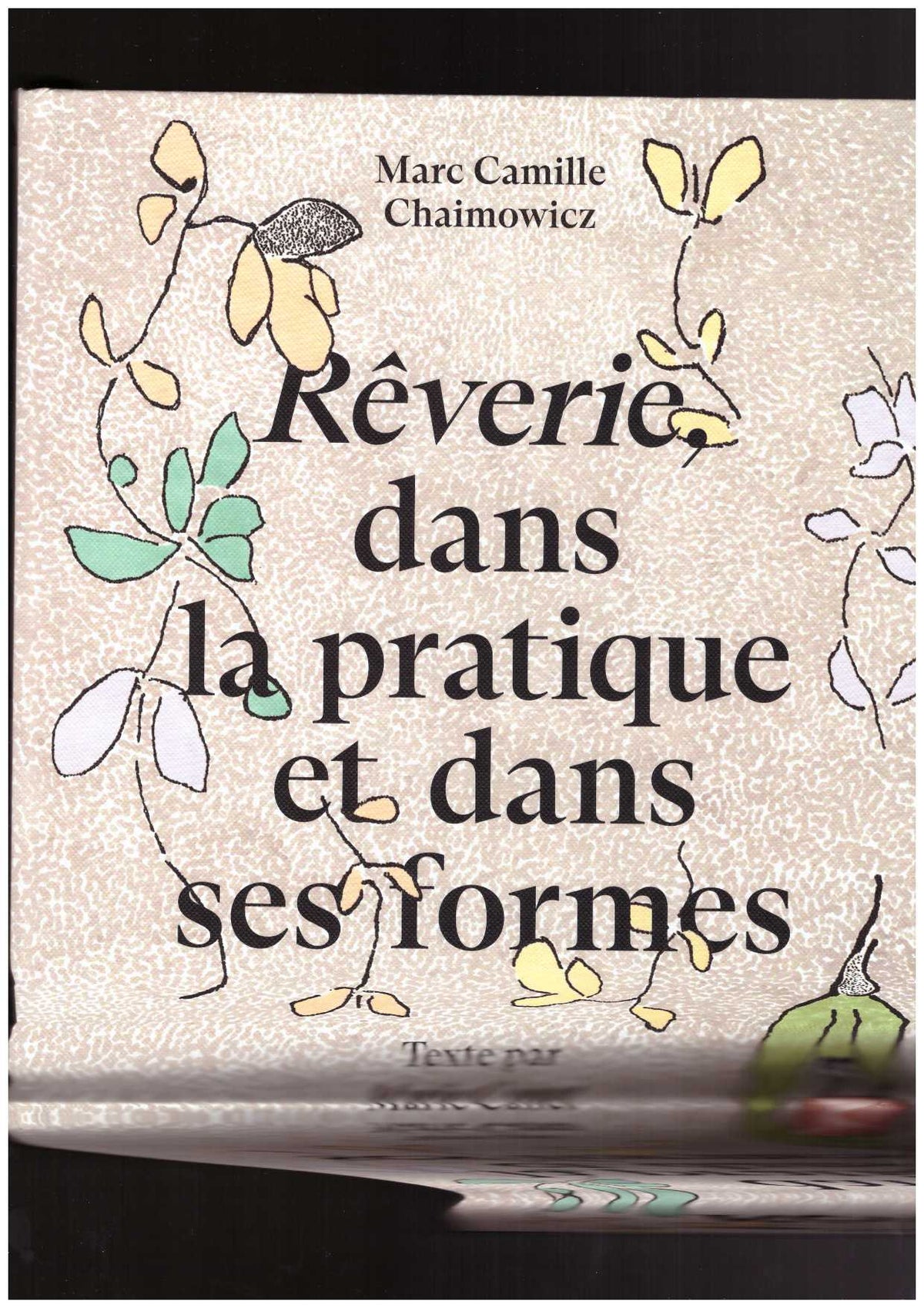 Marc Camille Chaimowicz. Rêverie, dans la pratique et dans ses formes
