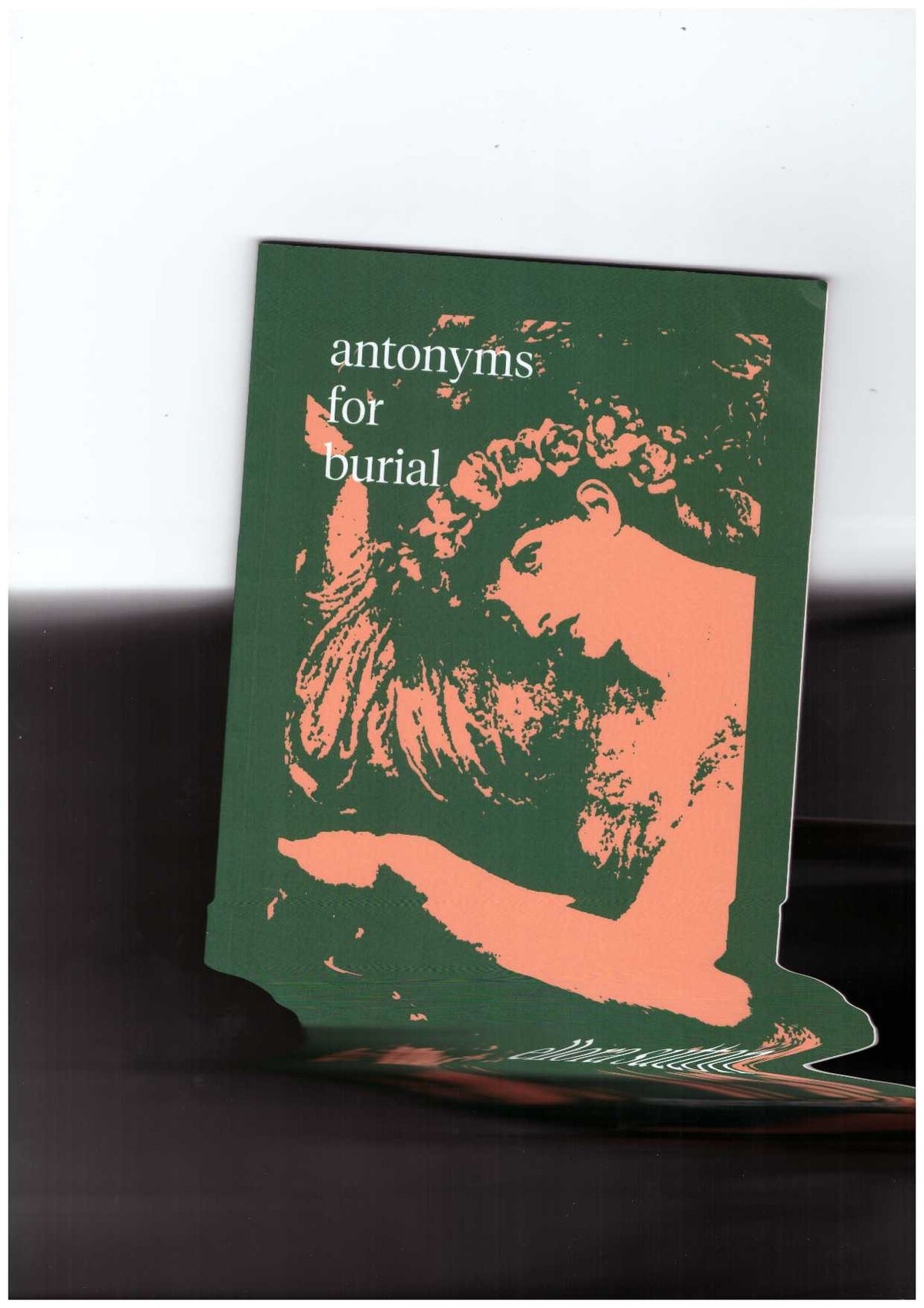 antonyms for burial