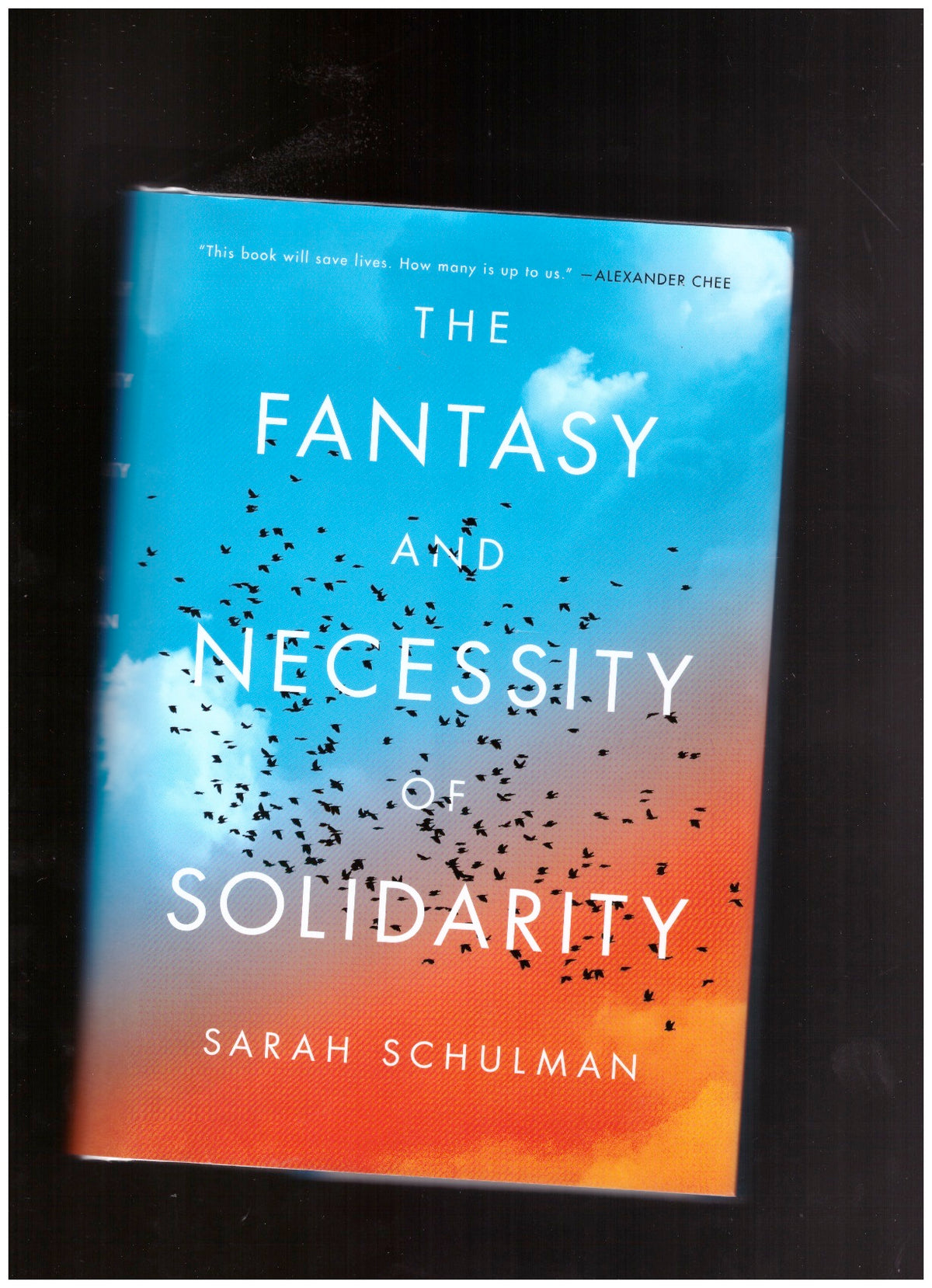 The Fantasy and Necessity of Solidarity