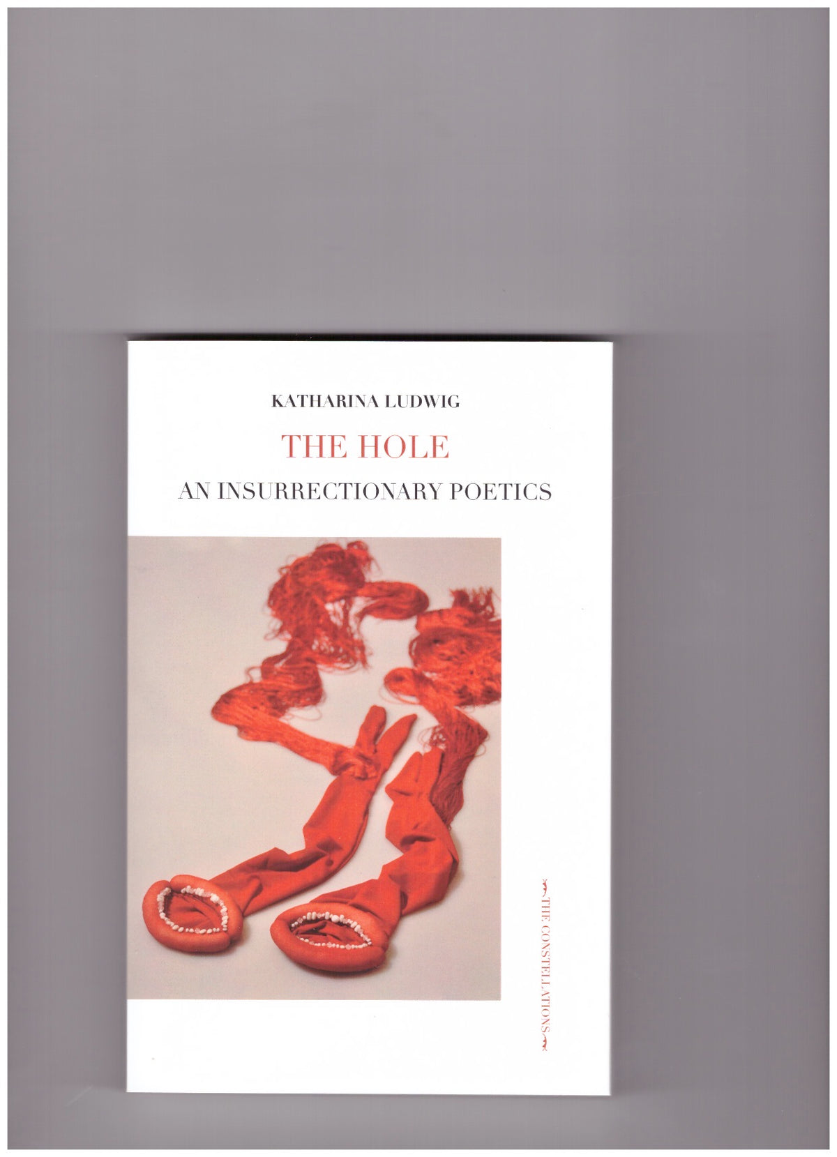 The Hole. An Insurrectionary Poetics