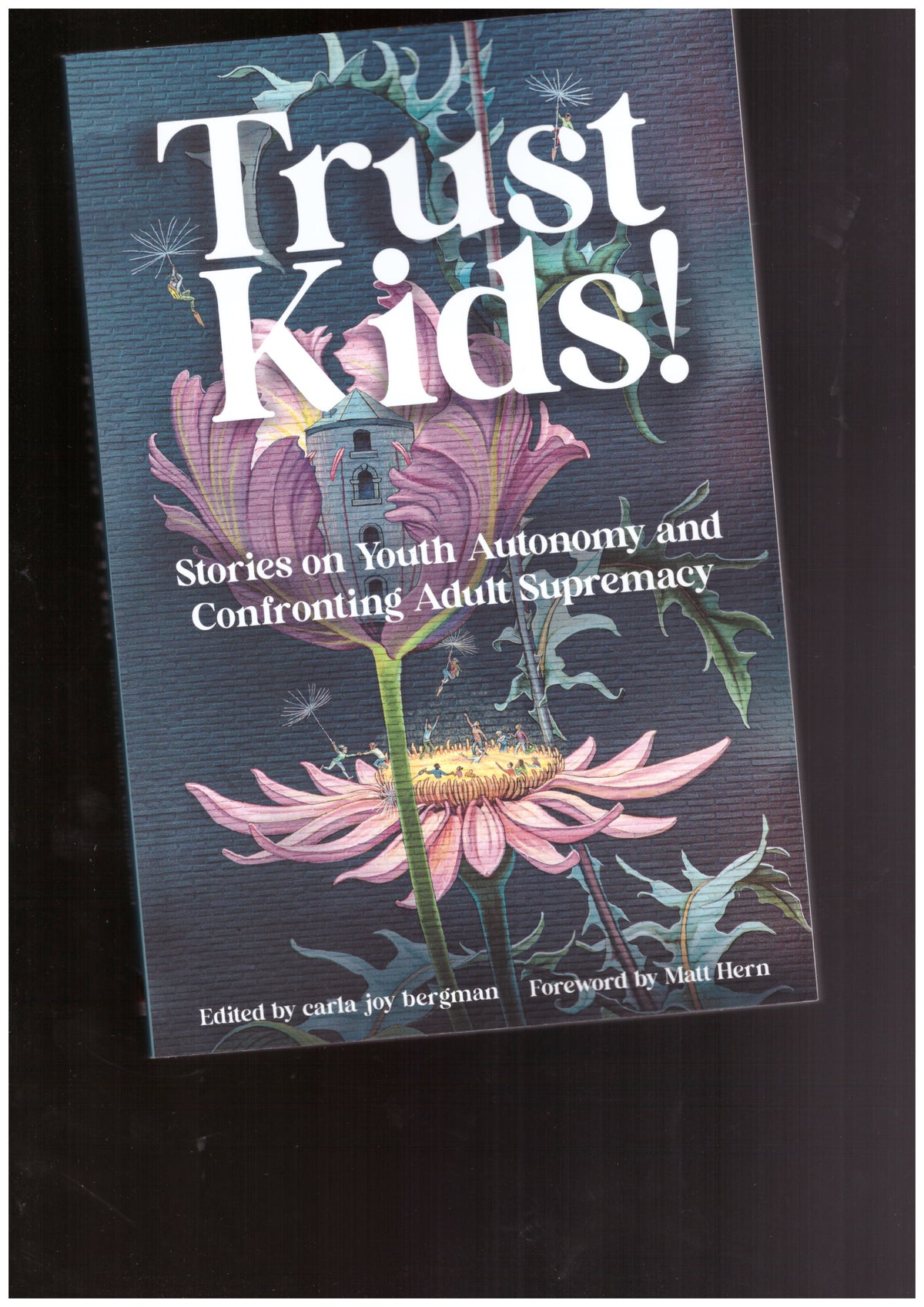 Trust Kids! Stories on Youth Autonomy