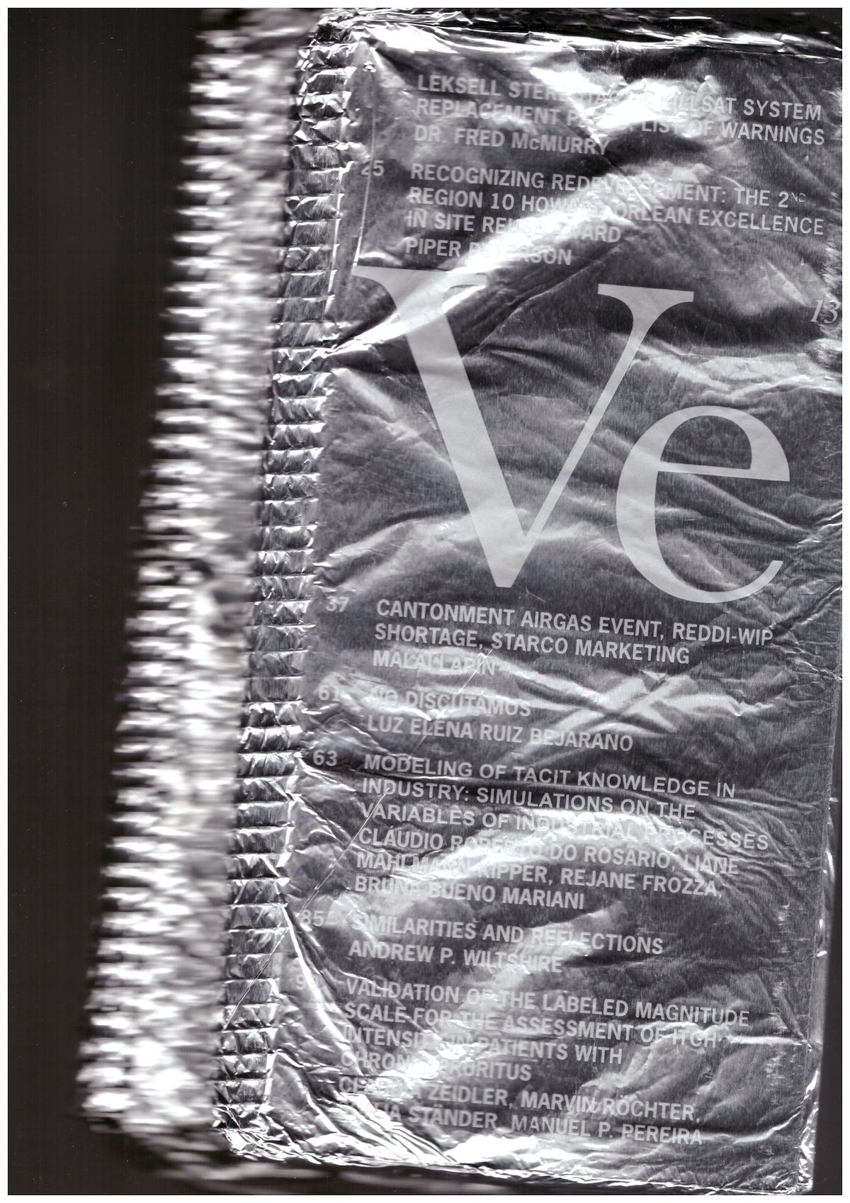 Veneer 13 of 18