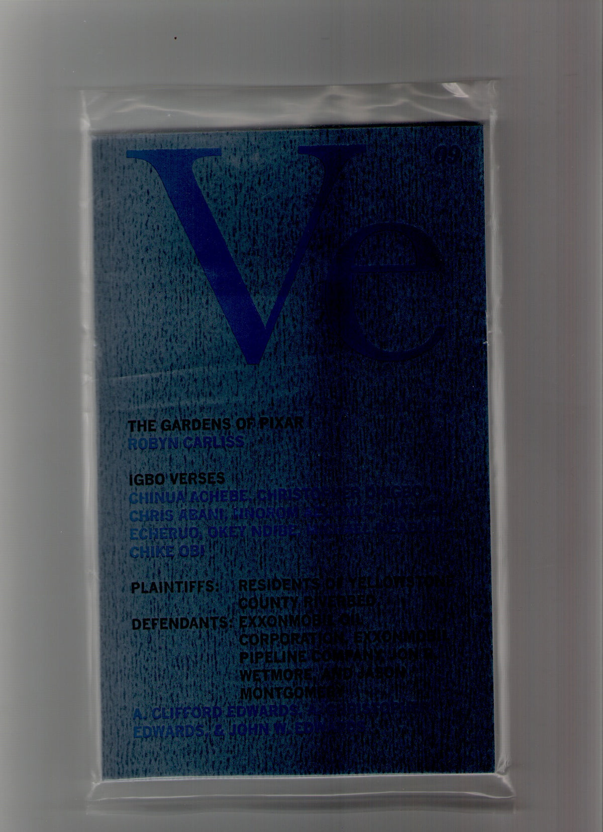 Veneer 09 of 18