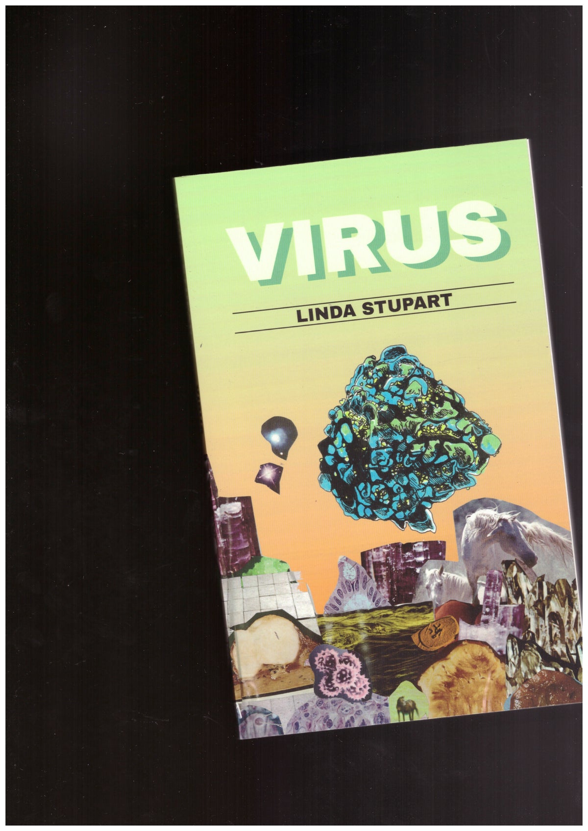 Virus