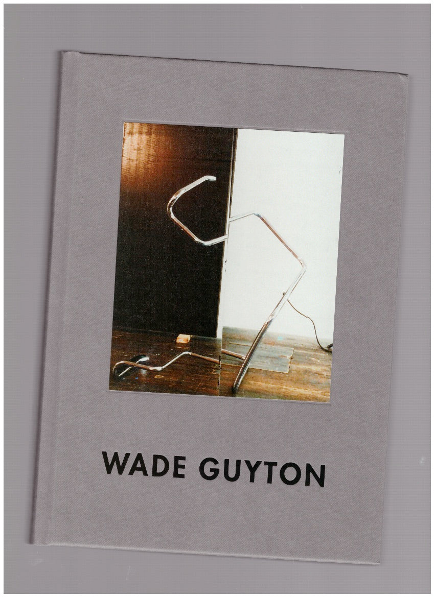 Wade Guyton