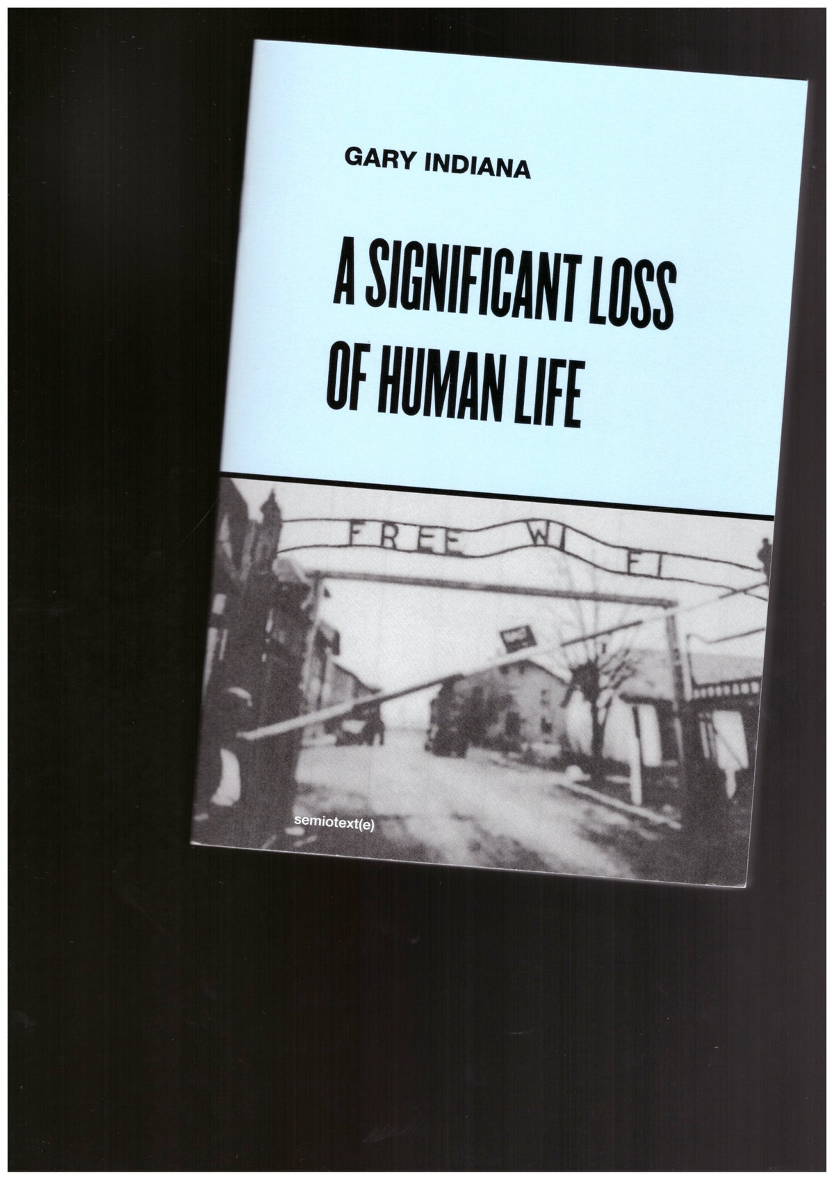 A Significant Loss of Human Life