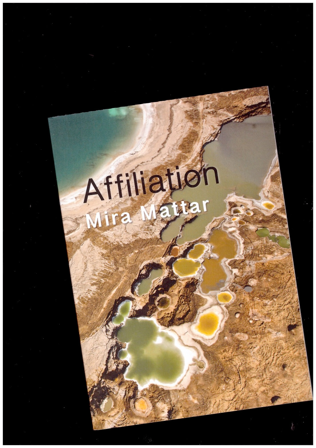 Affiliation [EN]