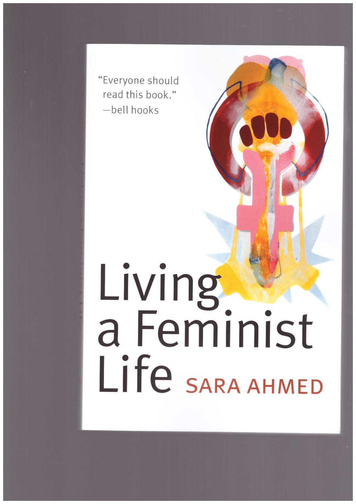 Living a feminist life