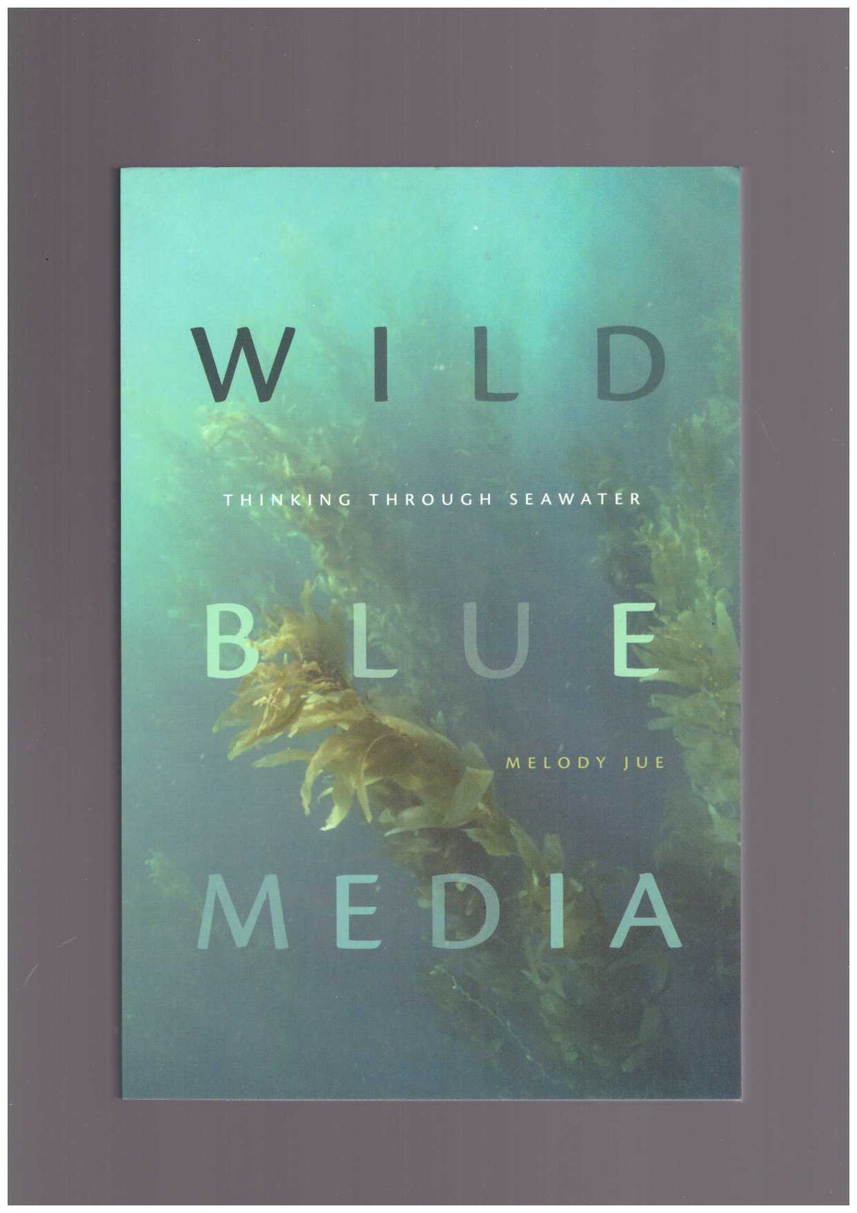 Wild Blue Media