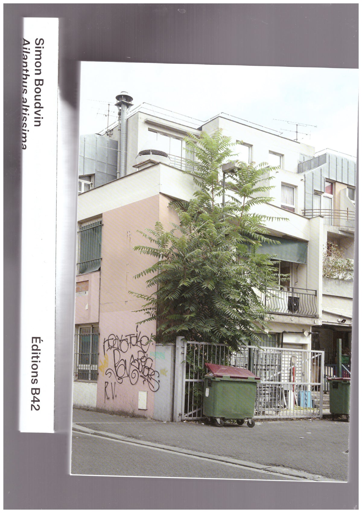 Ailanthus Altissima