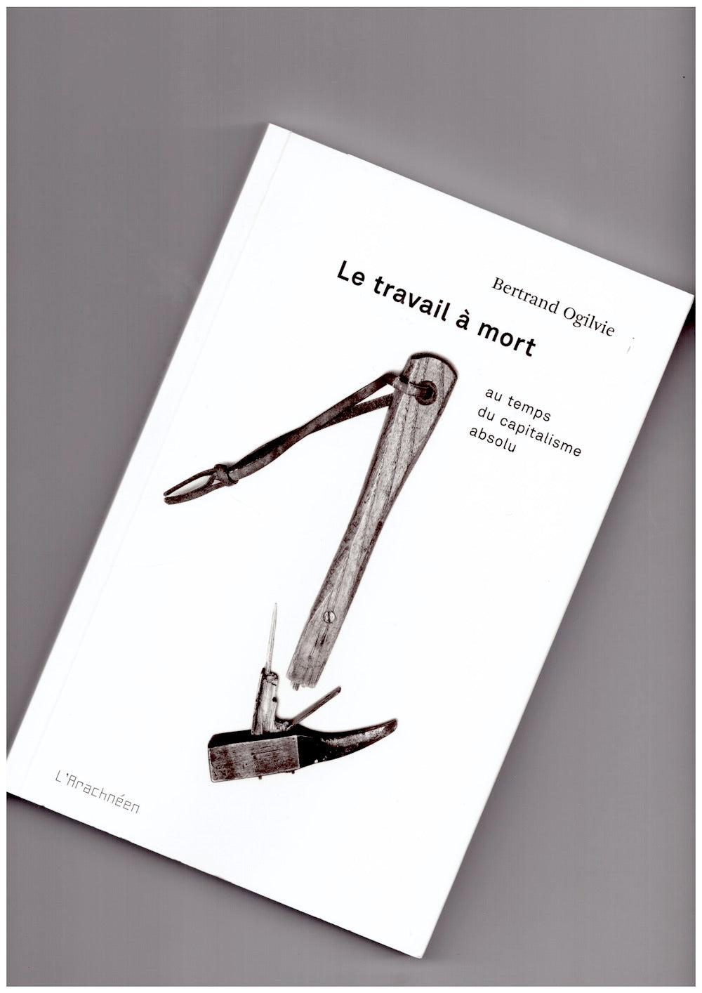 Le travail à mort. Au temps du capitalisme absolu
