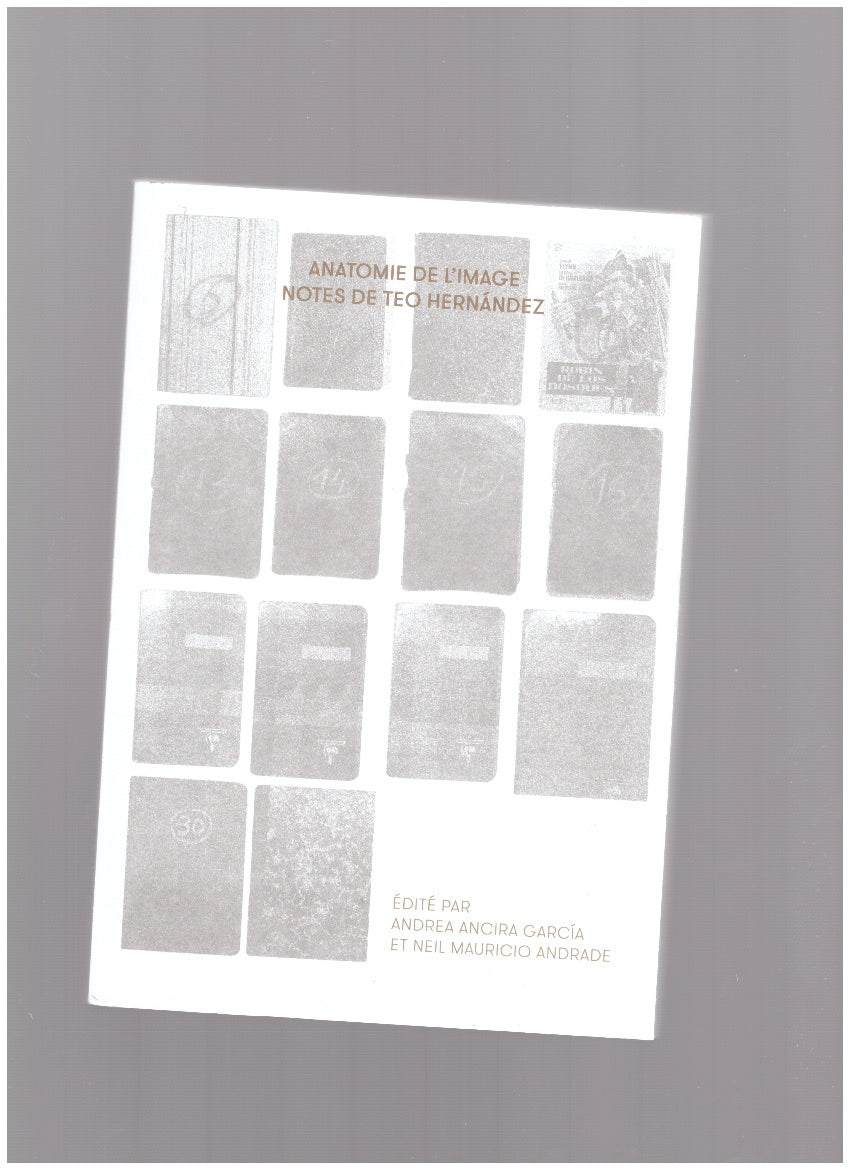 Anatomie de l'image. Notes de Teo Hernández