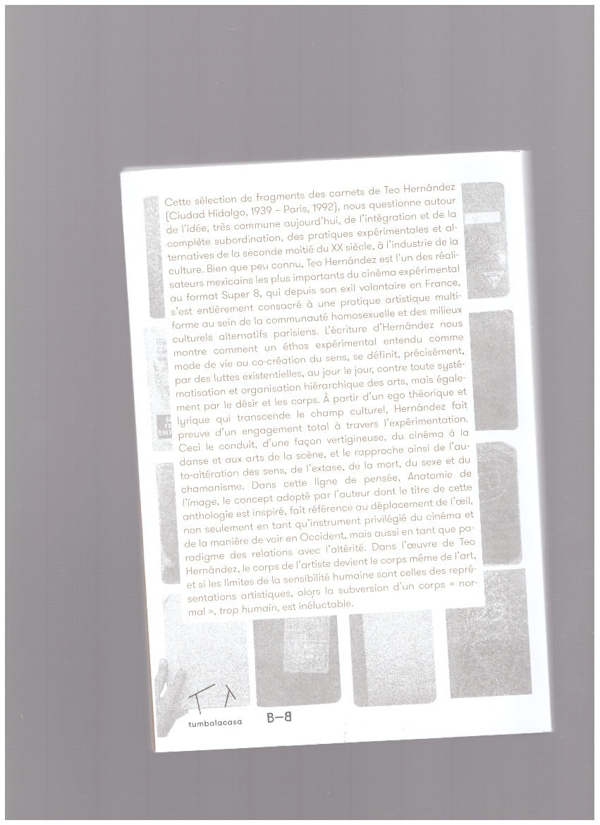 Anatomie de l'image. Notes de Teo Hernández