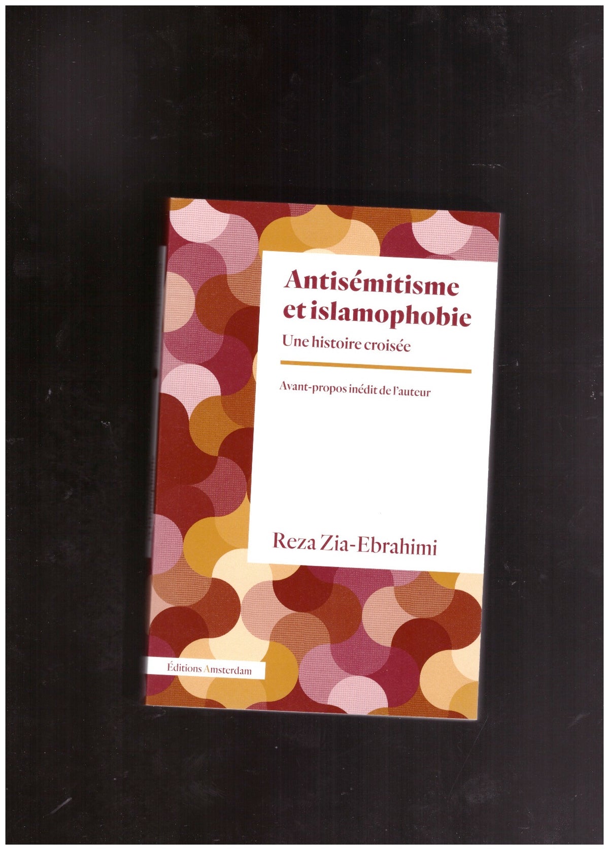 Antisémitisme et islamophobie : Une histoire croisée