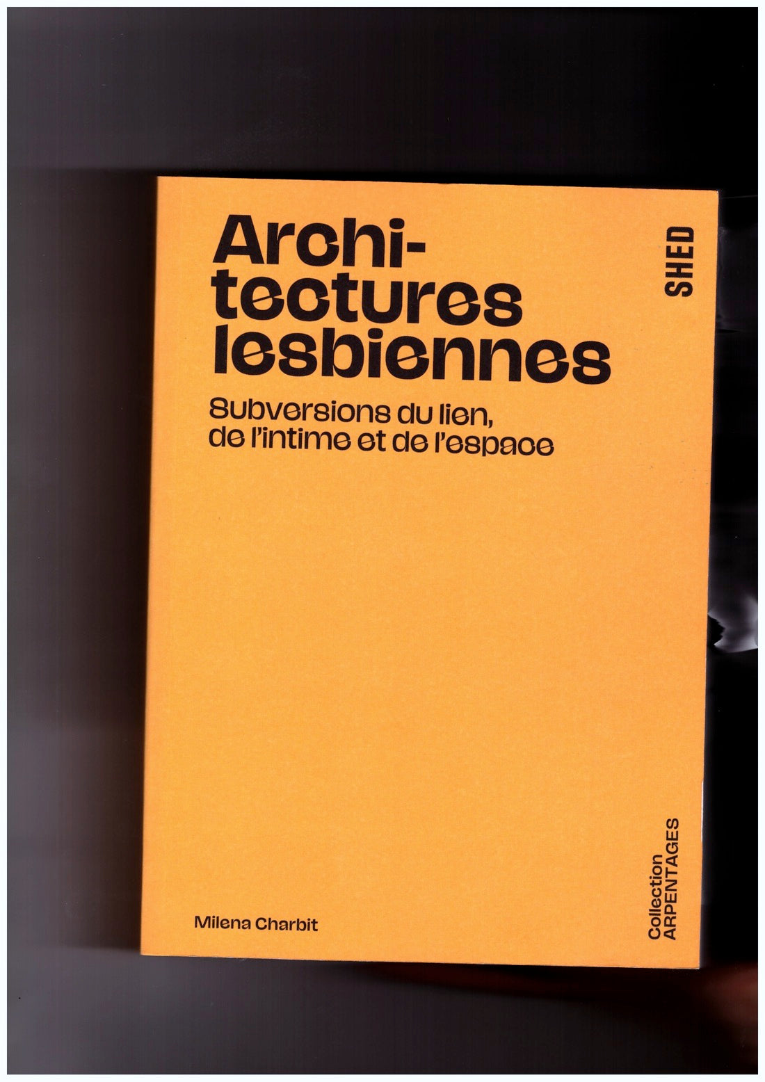 Architectures lesbiennes. Subversions du lien, de l’intime et de l’espace