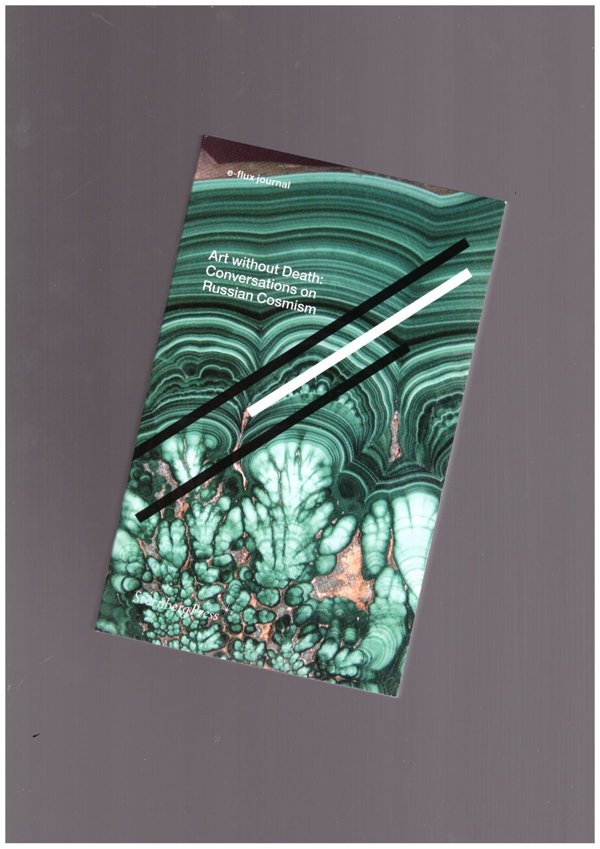 Art without Death. Conversations on Russian Cosmism